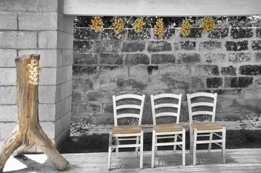 סנט'אנדראה Agriturismo La Turrita מראה חיצוני תמונה